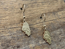Load image into Gallery viewer, Illinois Charm Earrings 2.0