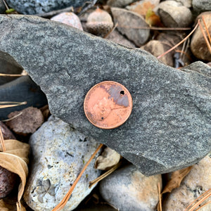 Raspberry Coin Pop - Flat