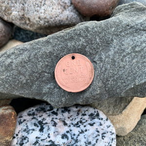 Forest Green Coin Pop - Flat