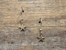 Load image into Gallery viewer, Texas Star Charm Earrings