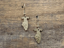 Load image into Gallery viewer, Illinois Charm Earrings
