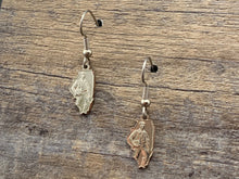 Load image into Gallery viewer, Illinois Charm Earrings 2.0