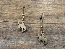Load image into Gallery viewer, Wyoming Charm Earrings