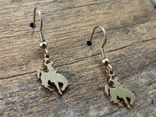 Load image into Gallery viewer, Wyoming Charm Earrings