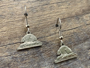 Canada Charm Earrings
