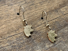 Load image into Gallery viewer, Wisconsin Charm Earrings