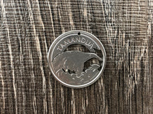 Load image into Gallery viewer, Brazil Anteater